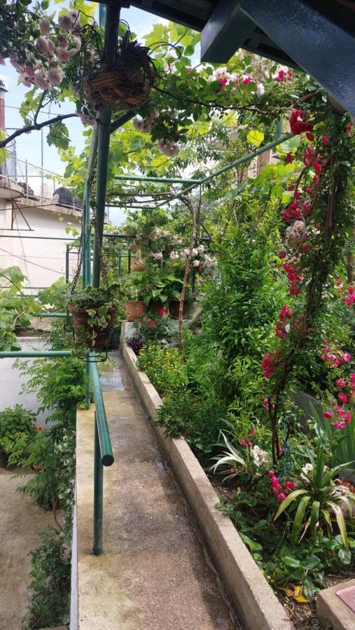 Relax Guesthouse Gjirokastër Dış mekan fotoğraf
